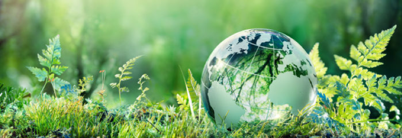 Green Glass Globe
