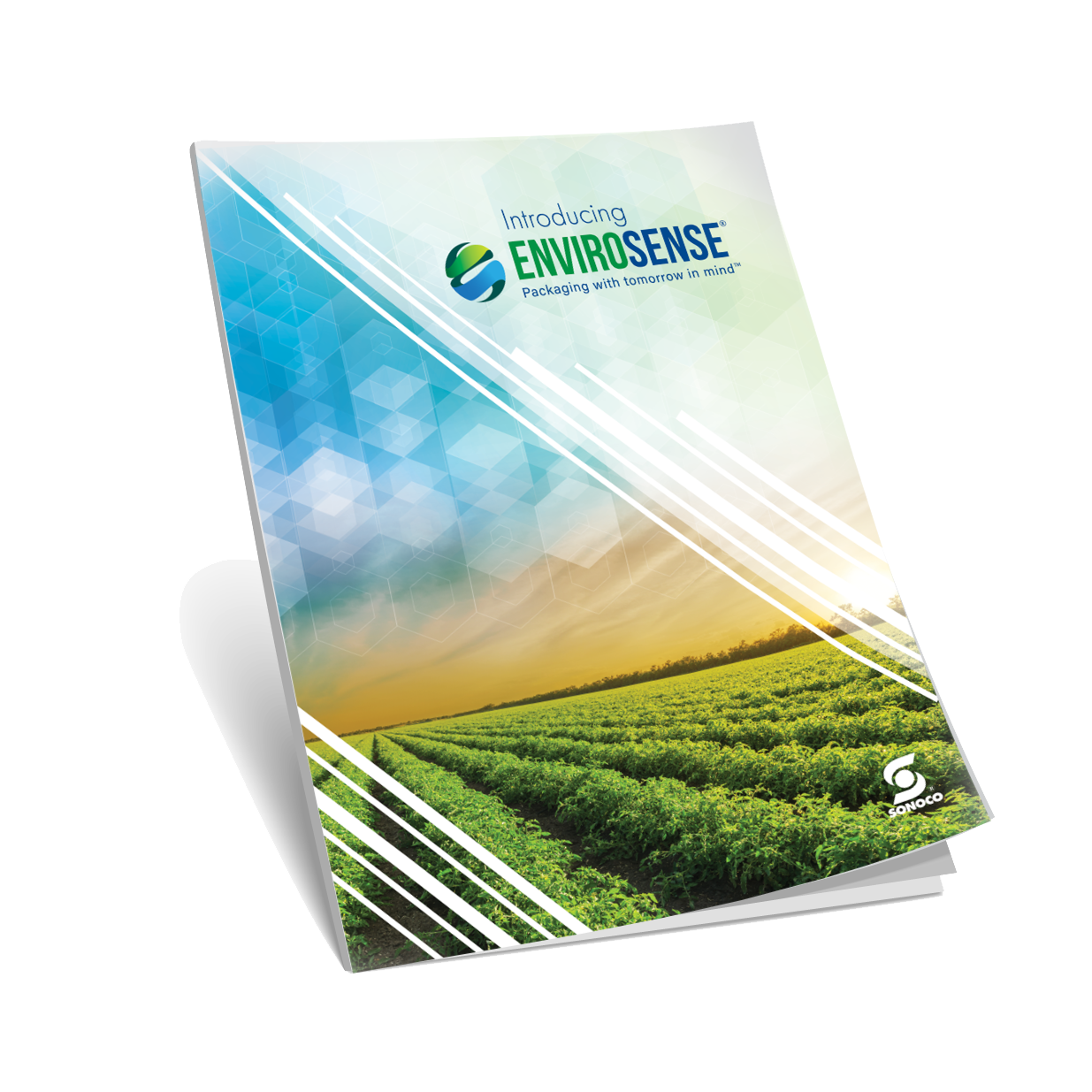 Envirosense Brochure Cover