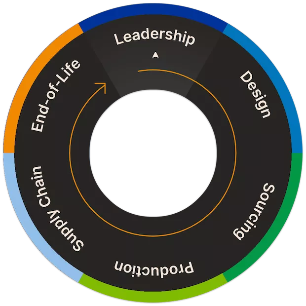Sustainability wheel with arrow pointing to "Leadership"