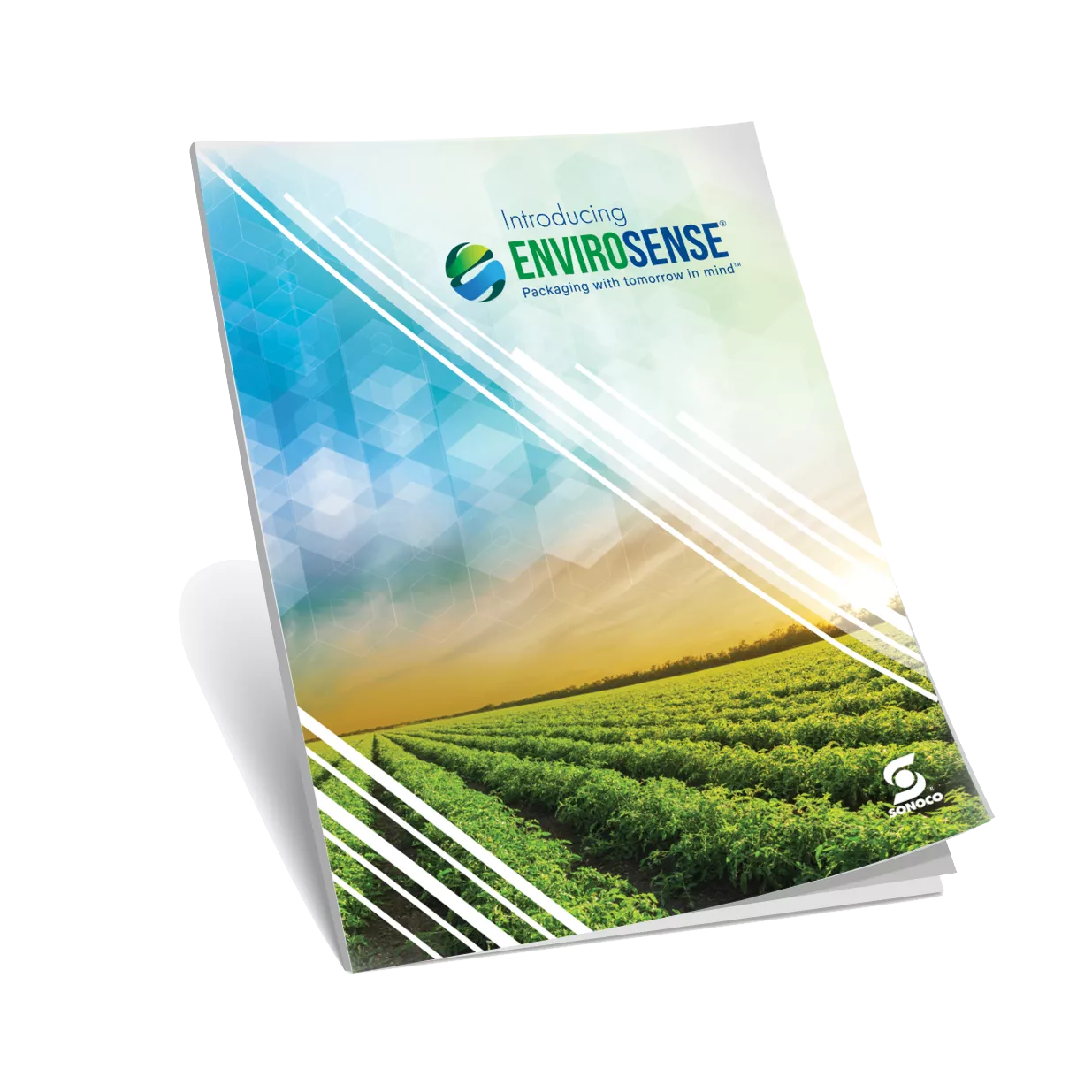 Envirosense Sustainable Packaging Brochure