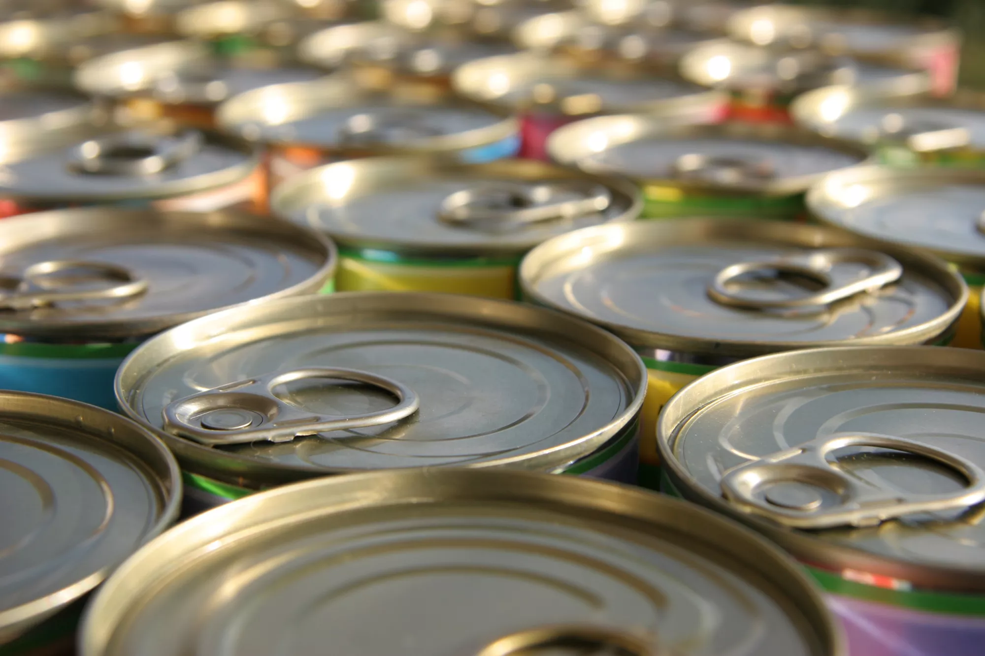 Image of 2-piece food can