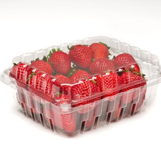 1lb Modular Clamshell