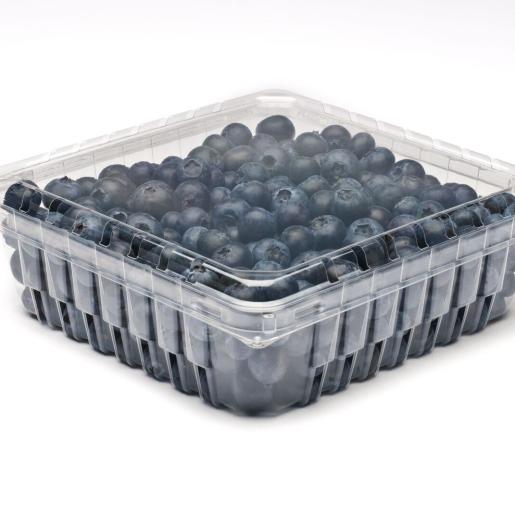 24oz Modular Clamshell