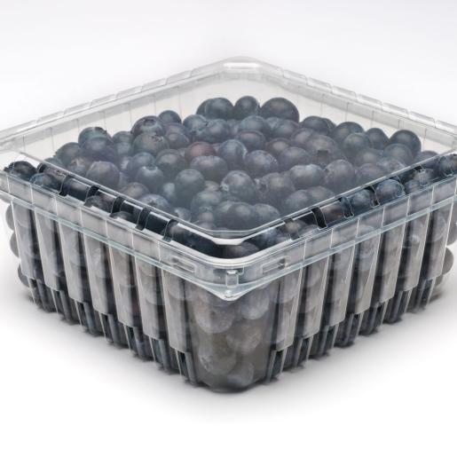 32oz Modular Clamshell