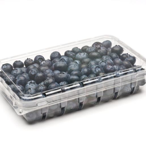 11oz Flat Pint Clamshell