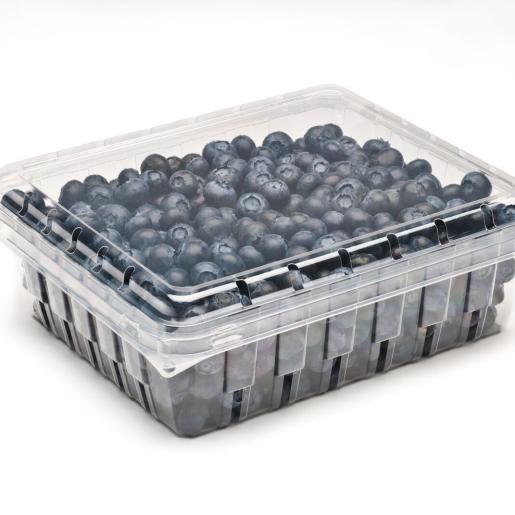 Standard 32oz Clamshell