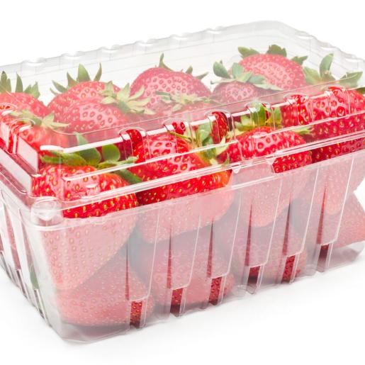 16oz Standard (lg) Clamshell