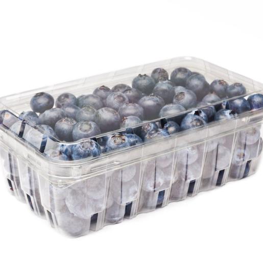 16oz BB Std Clamshell