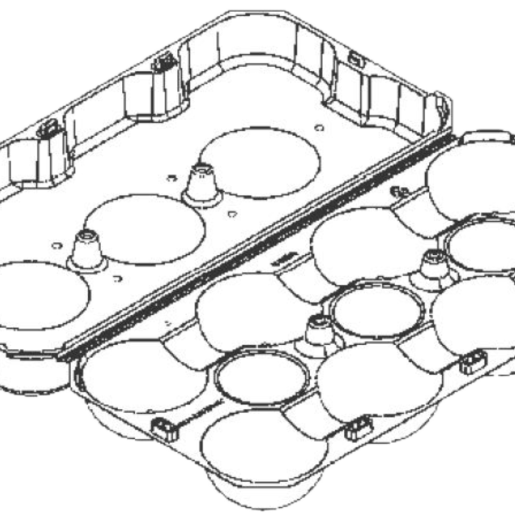 11-Count Pluot Clamshell