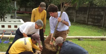 Group of men planting a tree