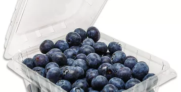 Hinged container full of blueberries.
