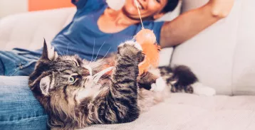 Woman playing with her cat
