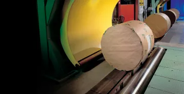 Wrapped paper rolls on an assembly line