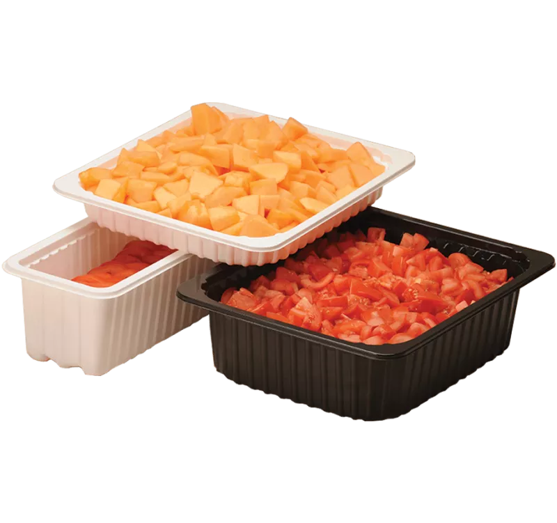 Foam Packaging, Serving Trays, Lunch Trays, Meal Trays