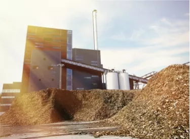 Biomass