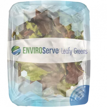 EnviroSERVE Leafy Greens container