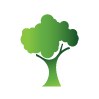 Responsible Fiber Sourcing